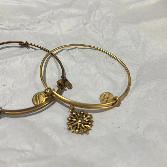 Alex and Ani Gold Tone Compass Bangle Energy Bracelet Pair - Picture 2 of 3